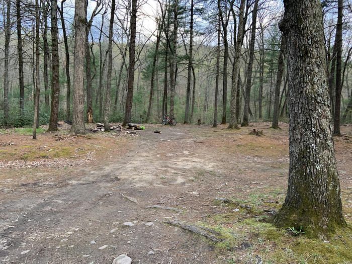 Van Buren Furnace campsite