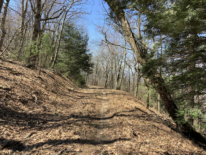 National Forest mountain