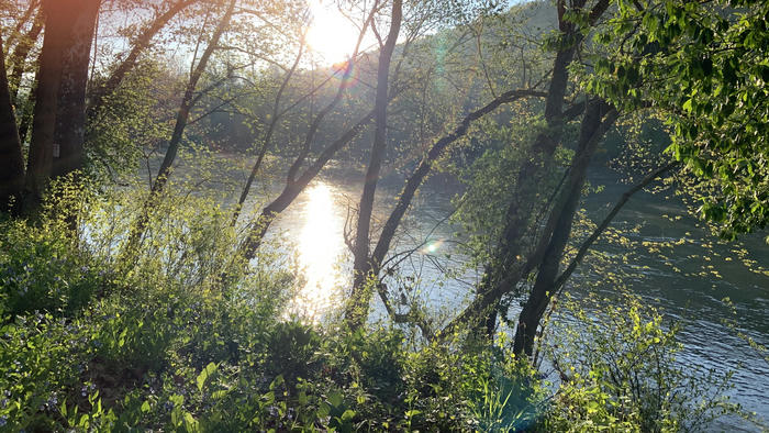 The Shenandoah river, near where I crossed it